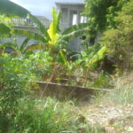 First image of 1817 Cornwall Courts in Cornwall, St. James, Jamaica - property is For Sale