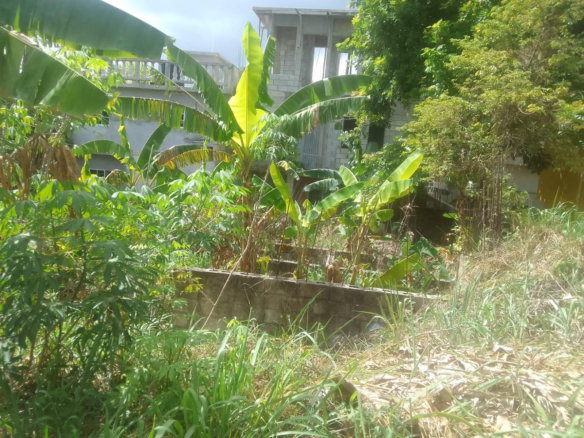 First image of 1817 Cornwall Courts in Cornwall, St. James, Jamaica - property is For Sale