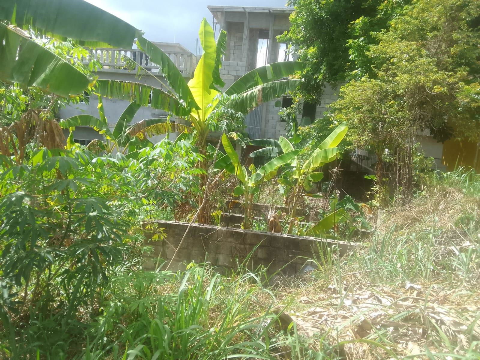 Residential-Lot-with-Unfinished-3-Bedroom-Home-for-Sale-in-St.-James-Jamaica First image of 1817 Cornwall Courts in Cornwall, St. James, Jamaica - property is For Sale