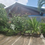First image of 5 Wainwright Avenue in Kingston 8, St. Andrew, Jamaica - property is For Rent