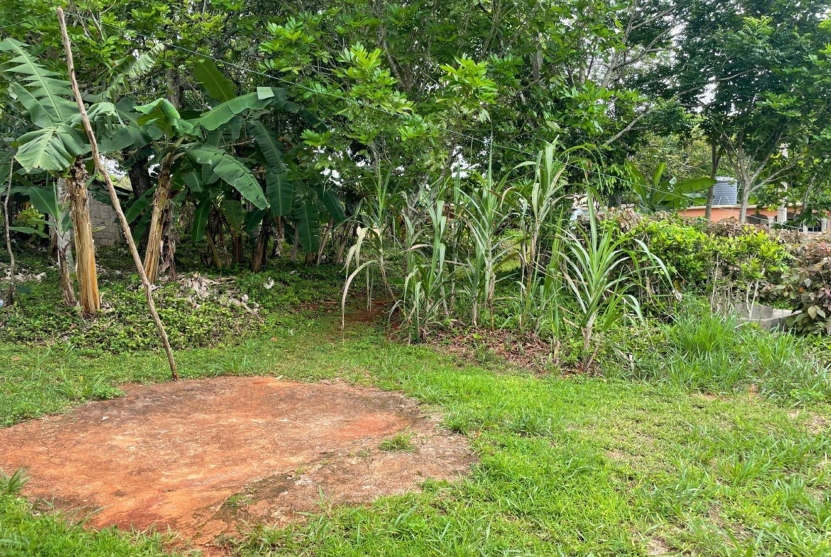 Fifteenth image of Land Part of Spur Tree in Spur Tree, Manchester, Jamaica - property is For Sale