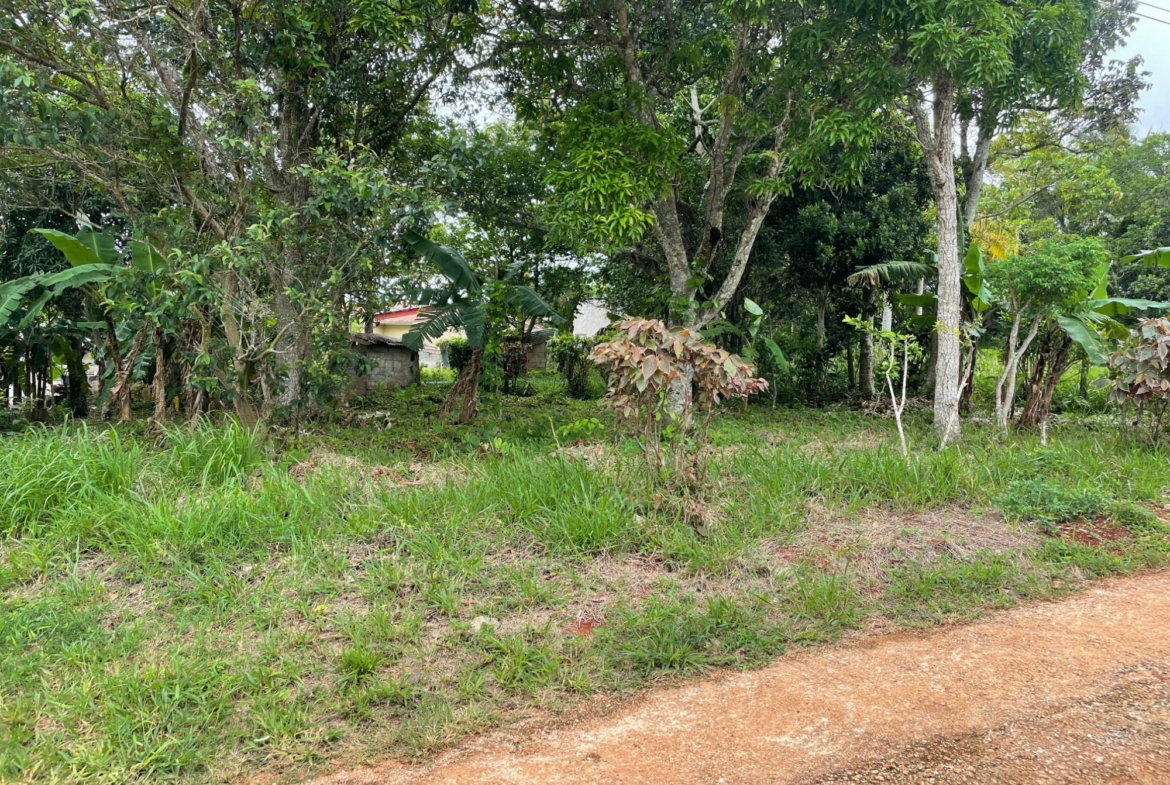 Sixteenth image of Land Part of Spur Tree in Spur Tree, Manchester, Jamaica - property is For Sale
