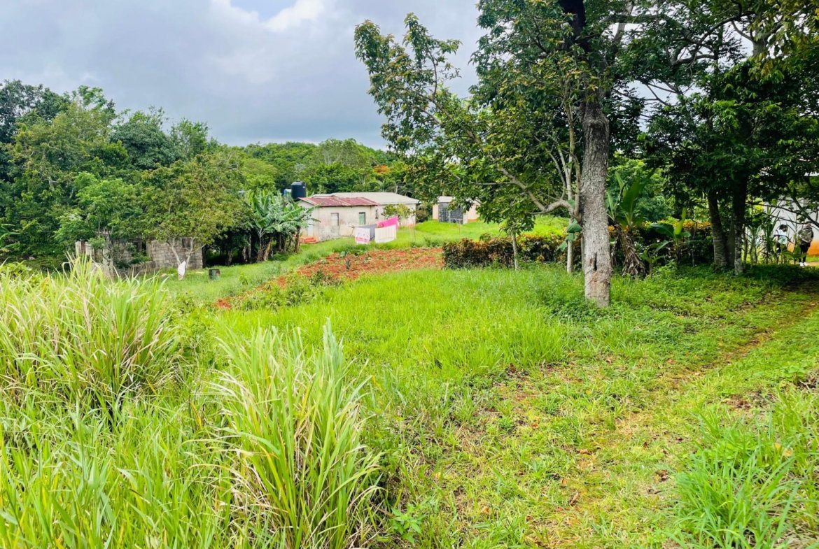 Seventeenth image of Land Part of Spur Tree in Spur Tree, Manchester, Jamaica - property is For Sale