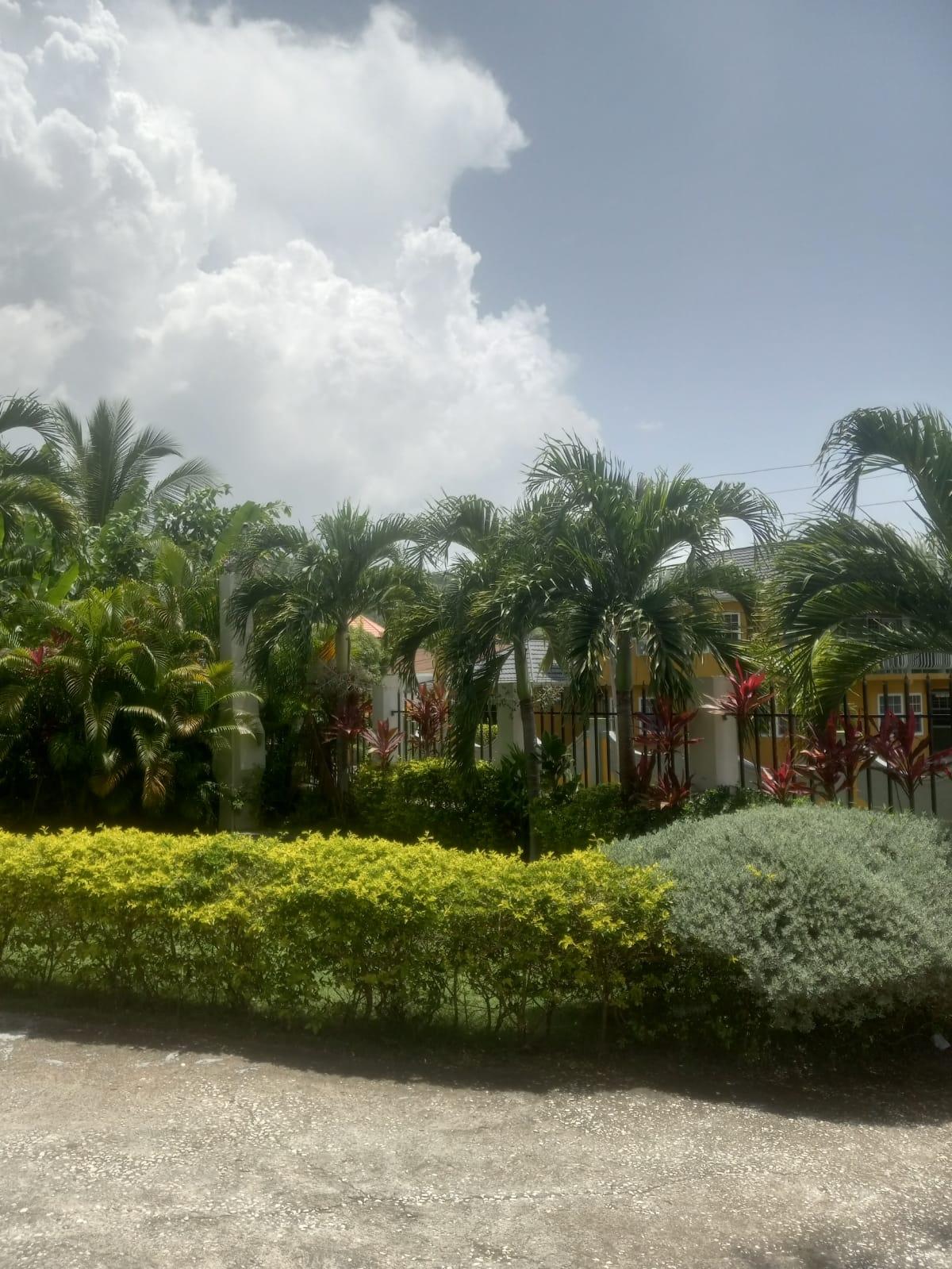 Twentieth image of 239- Sandy Bay in Sandy Bay, Hanover, Jamaica - property is For Rent