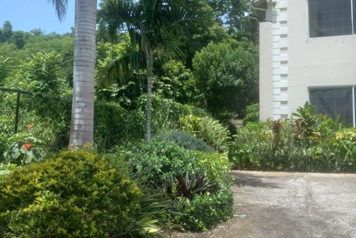 Twenty-Second image of 239- Sandy Bay in Sandy Bay, Hanover, Jamaica - property is For Rent