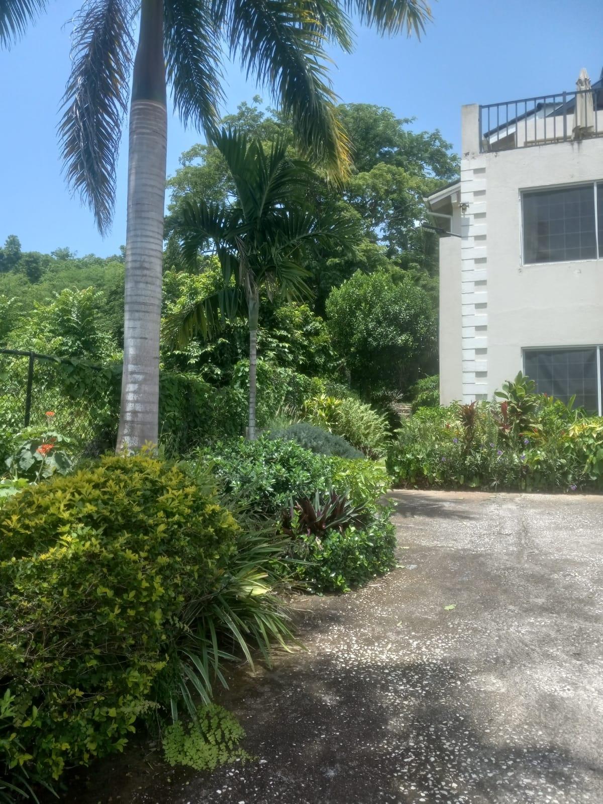 Twenty-Second image of 239- Sandy Bay in Sandy Bay, Hanover, Jamaica - property is For Rent