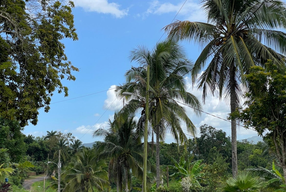 First image of Lot 6 Bynloss Linstead in Linstead, St. Catherine, Jamaica - property is For Sale