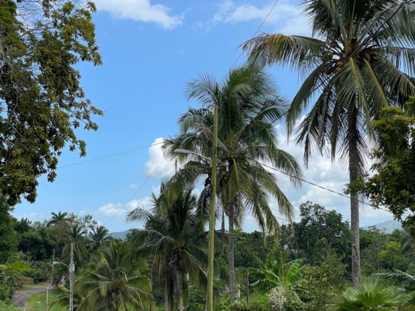 First image of Lot 6 Bynloss Linstead in Linstead, St. Catherine, Jamaica - property is For Sale