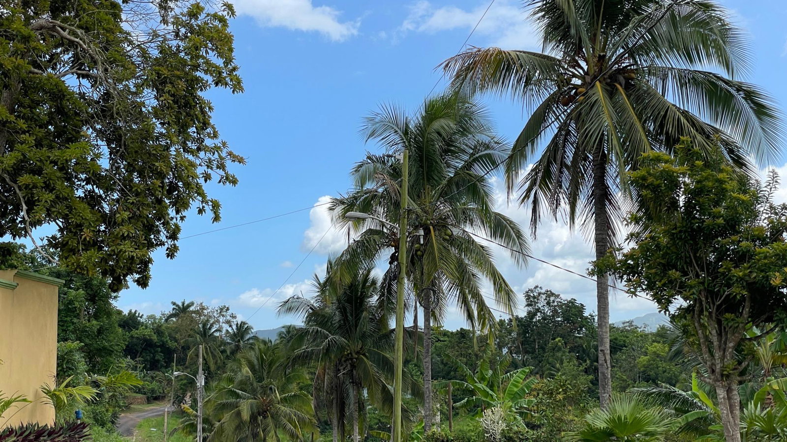 First image of Lot 6 Bynloss Linstead in Linstead, St. Catherine, Jamaica - property is For Sale
