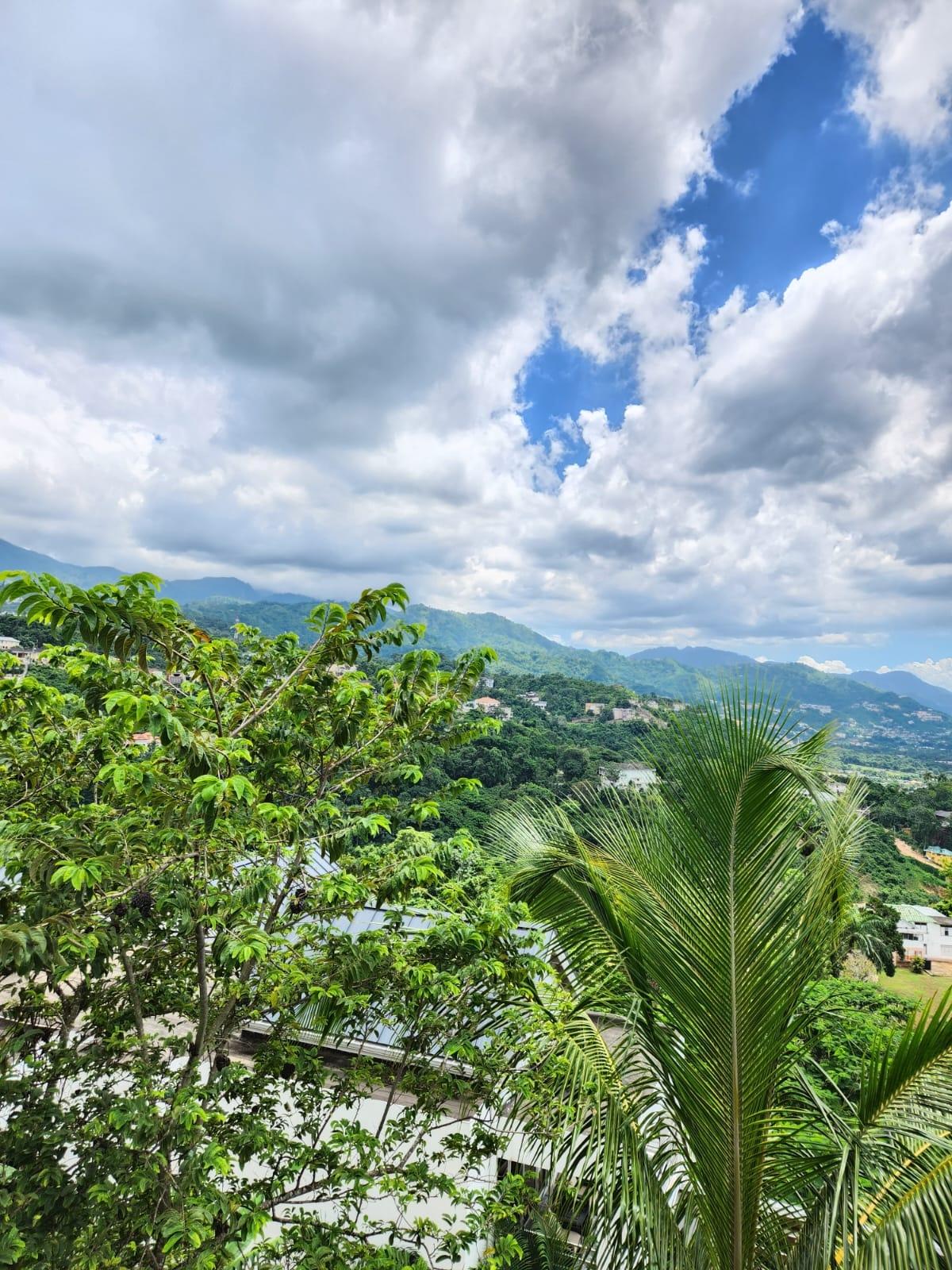 Spacious-3-Bed-Apartment-for-Sale-in-Diamond-Court-Stony-Hill-St.-Andrew Twentieth image of Apt #1-27 Diamond Close in Stony Hill P.O., St. Andrew, Jamaica - property is For Sale