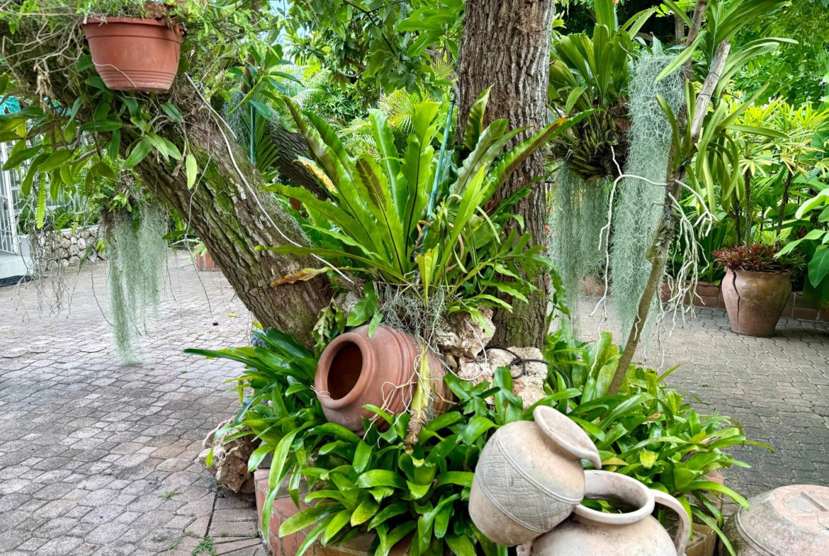 Twenty-Third image of 16 Upper Carmel Avenue in Kingston 8, St. Andrew, Jamaica - property is For Rent