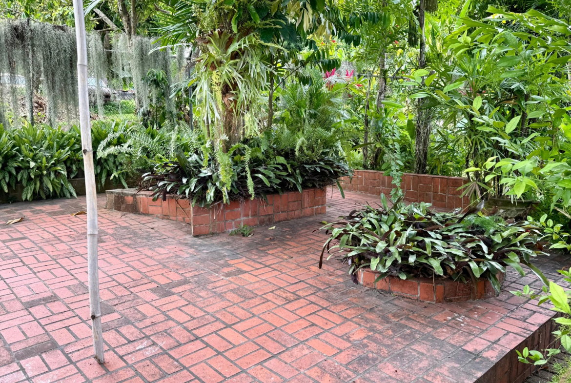 Twenty-Fourth image of 16 Upper Carmel Avenue in Kingston 8, St. Andrew, Jamaica - property is For Rent