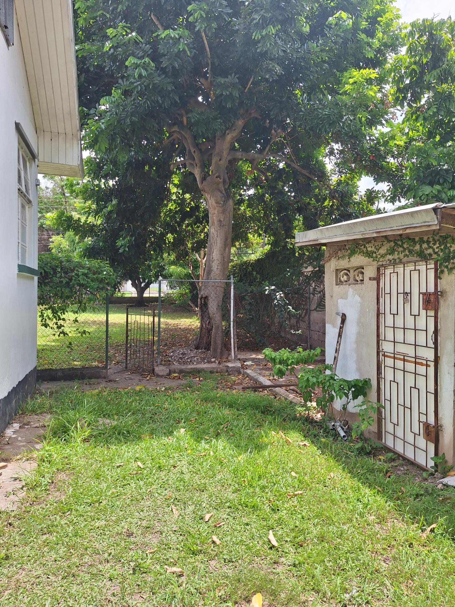 Twenty-Eighth image of 5- Armon Jones Crescent in Kingston 6, St. Andrew, Jamaica - property is For Rent