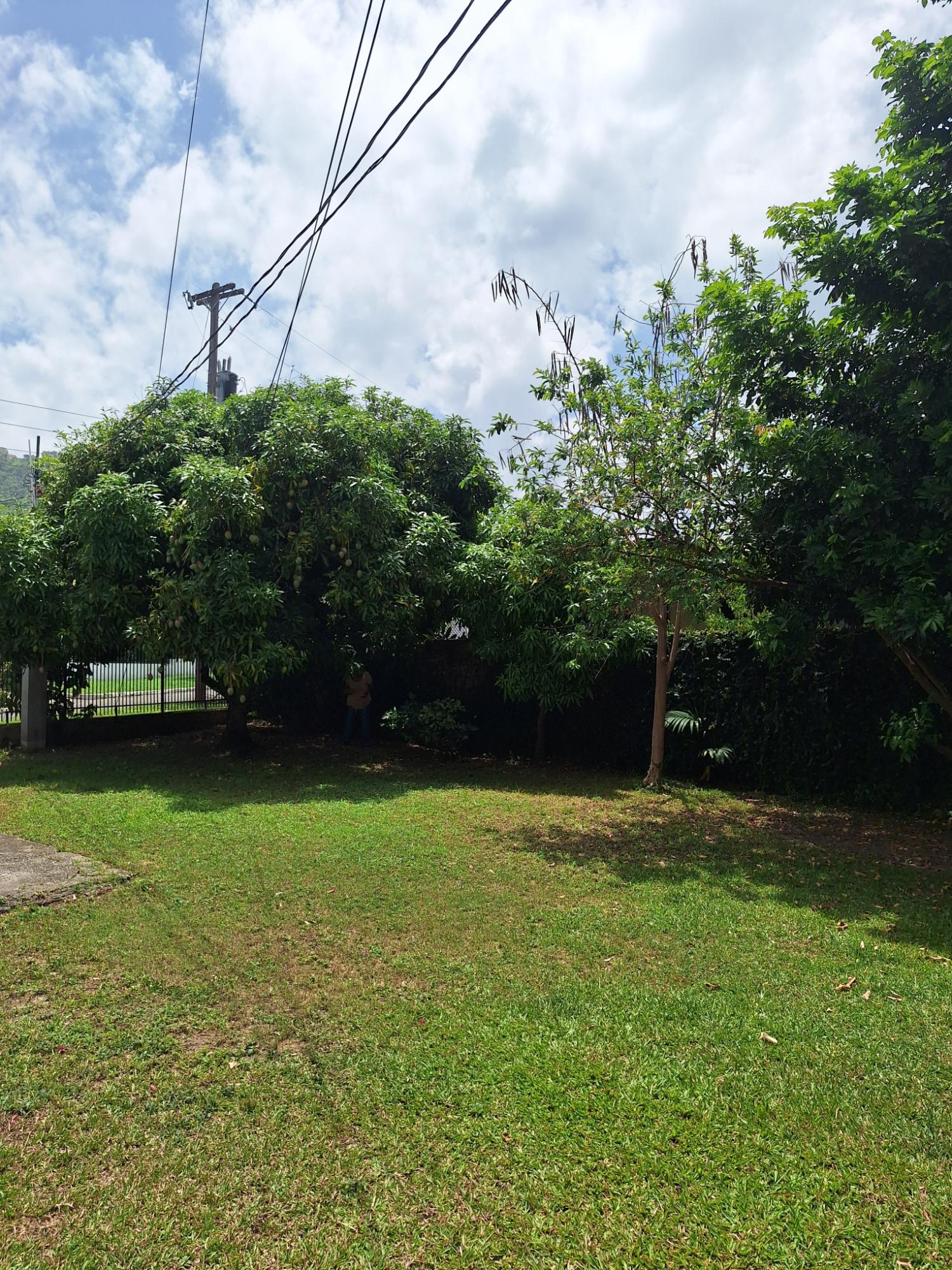 Twenty-Ninth image of 5- Armon Jones Crescent in Kingston 6, St. Andrew, Jamaica - property is For Rent