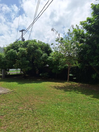 Twenty-Ninth image of 5- Armon Jones Crescent in Kingston 6, St. Andrew, Jamaica - property is For Rent
