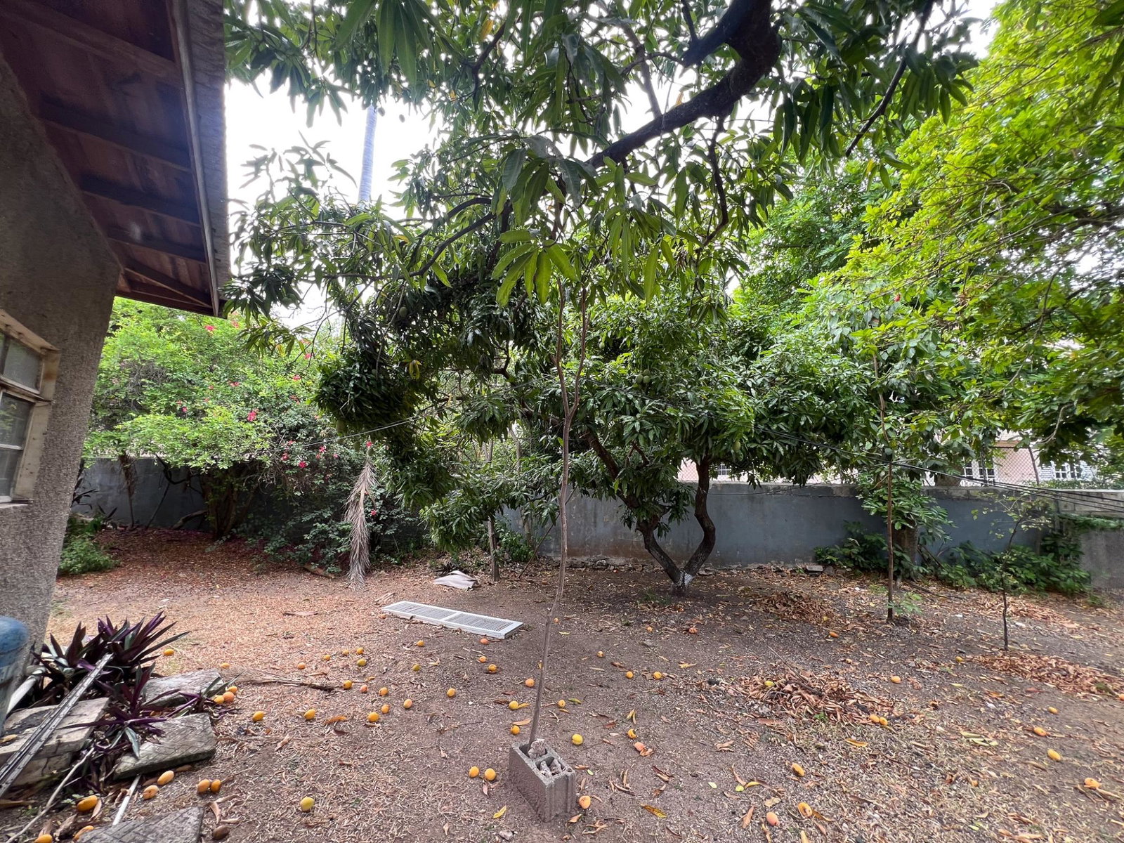 Ninth image of 19a Washington Drive, Kingsto in Kingston 10, St. Andrew, Jamaica - property is For Sale