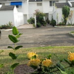 First image of 6-20 Charlton Road in Kingston 8, St. Andrew, Jamaica - property is For Rent