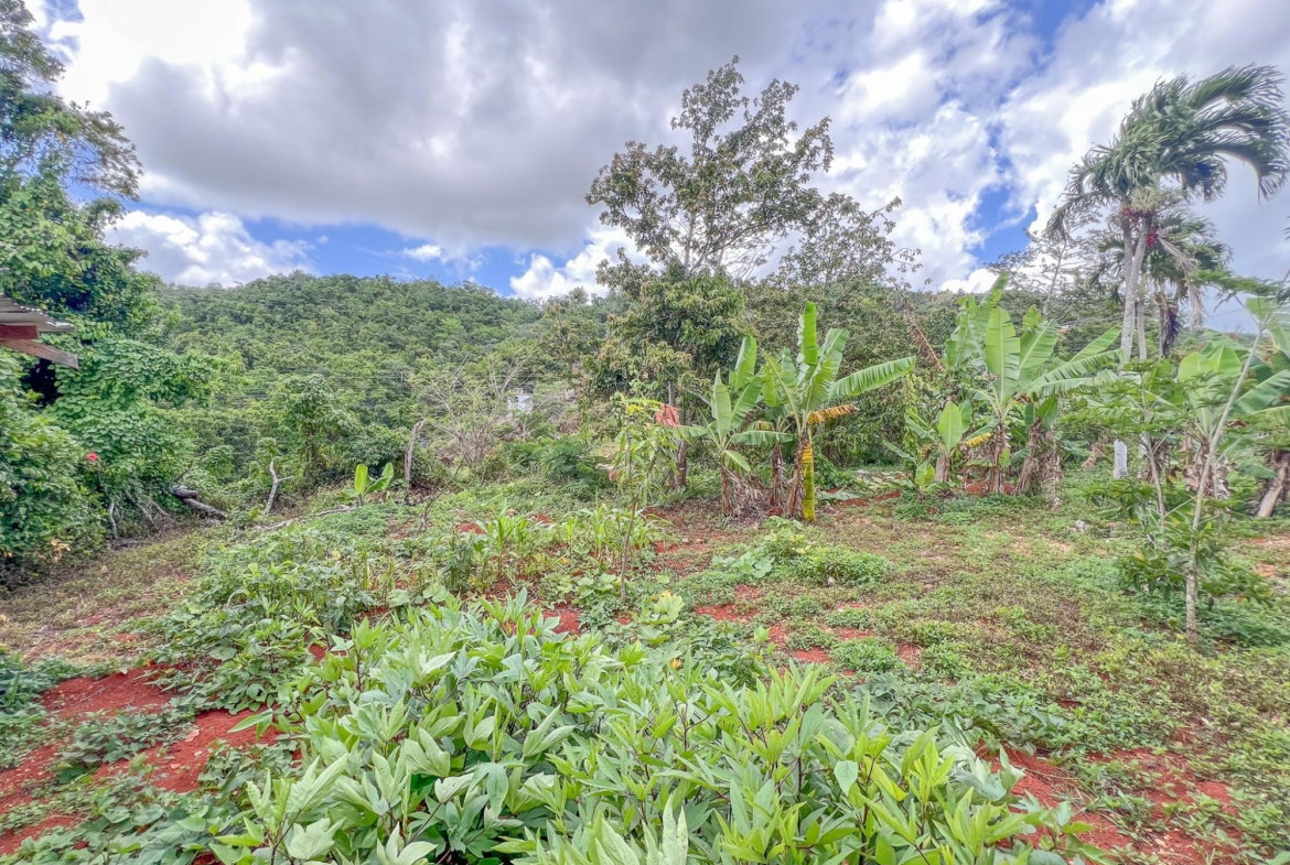 Twenty-Third image of 4 Daleys Grove in Newport, Manchester, Jamaica - property is For Sale