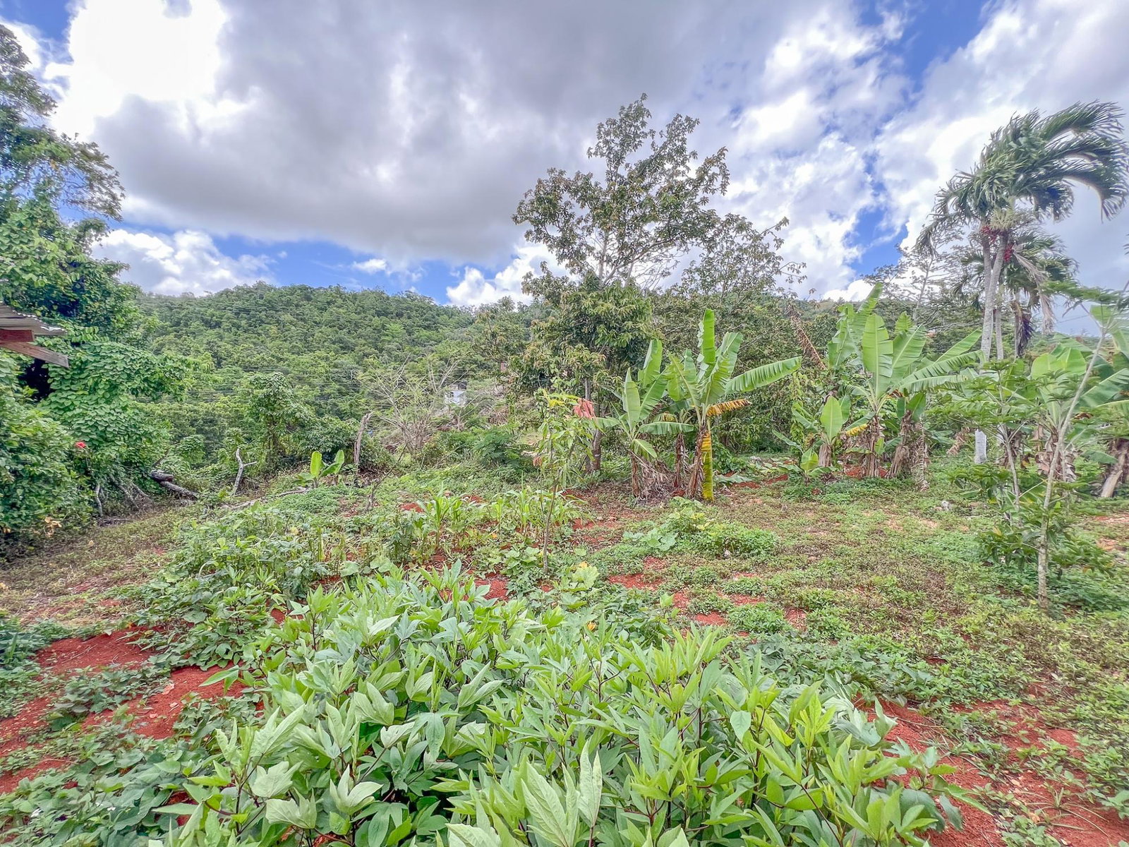 Spacious-4-Bedroom-House-for-Sale-in-Daleys-Grove-Manchester-Jamaica Twenty-Third image of 4 Daleys Grove in Newport, Manchester, Jamaica - property is For Sale