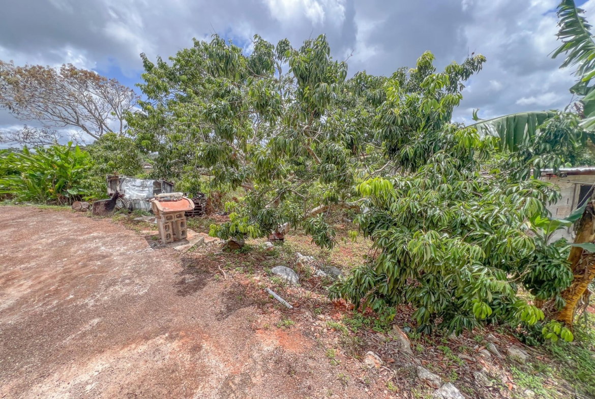 Twenty-Fourth image of 4 Daleys Grove in Newport, Manchester, Jamaica - property is For Sale