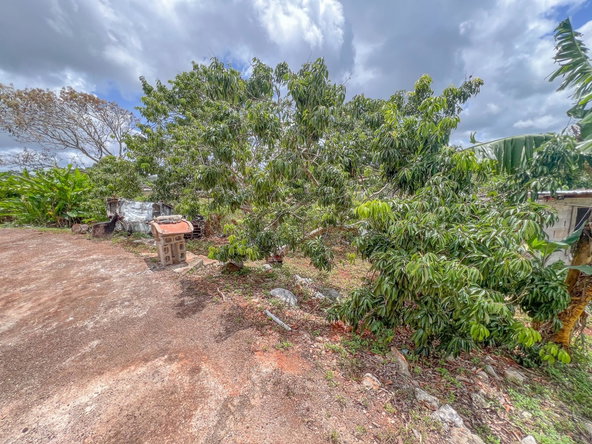 Twenty-Fourth image of 4 Daleys Grove in Newport, Manchester, Jamaica - property is For Sale