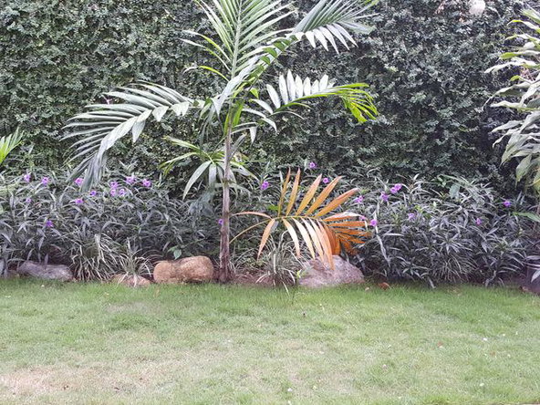 Eighteenth image of Earls Court in Kingston 8, St. Andrew, Jamaica - property is For Rent