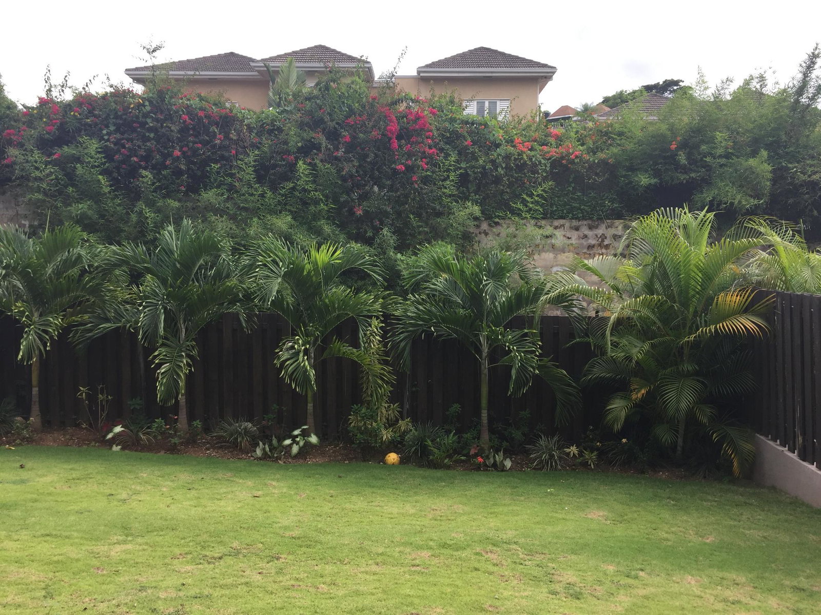Ninth image of 12- Cherry Hill Drive in Kingston 8, St. Andrew, Jamaica - property is For Rent