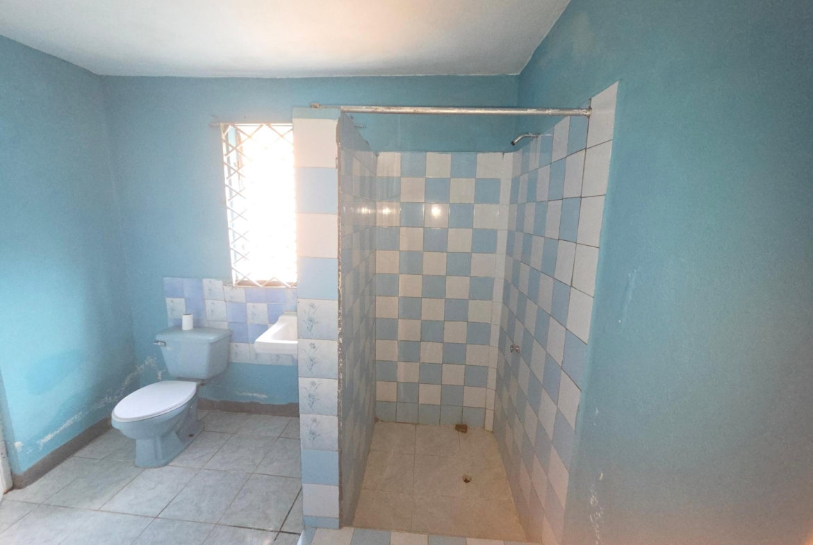 Thirteenth image of Jones Lane in Christiana, Manchester, Jamaica - property is For Sale