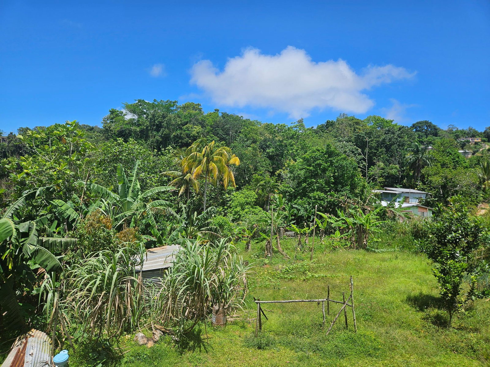 Eleventh image of Rockhall- Carr Hill in Red Hills, St. Andrew, Jamaica - property is For Sale