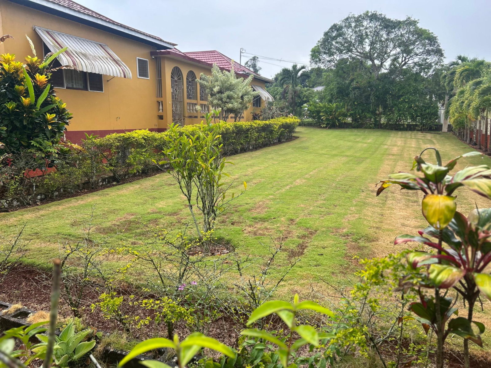 Thirteenth image of 35 Huntley Cres in Huntley, St. Ann, Jamaica - property is For Sale
