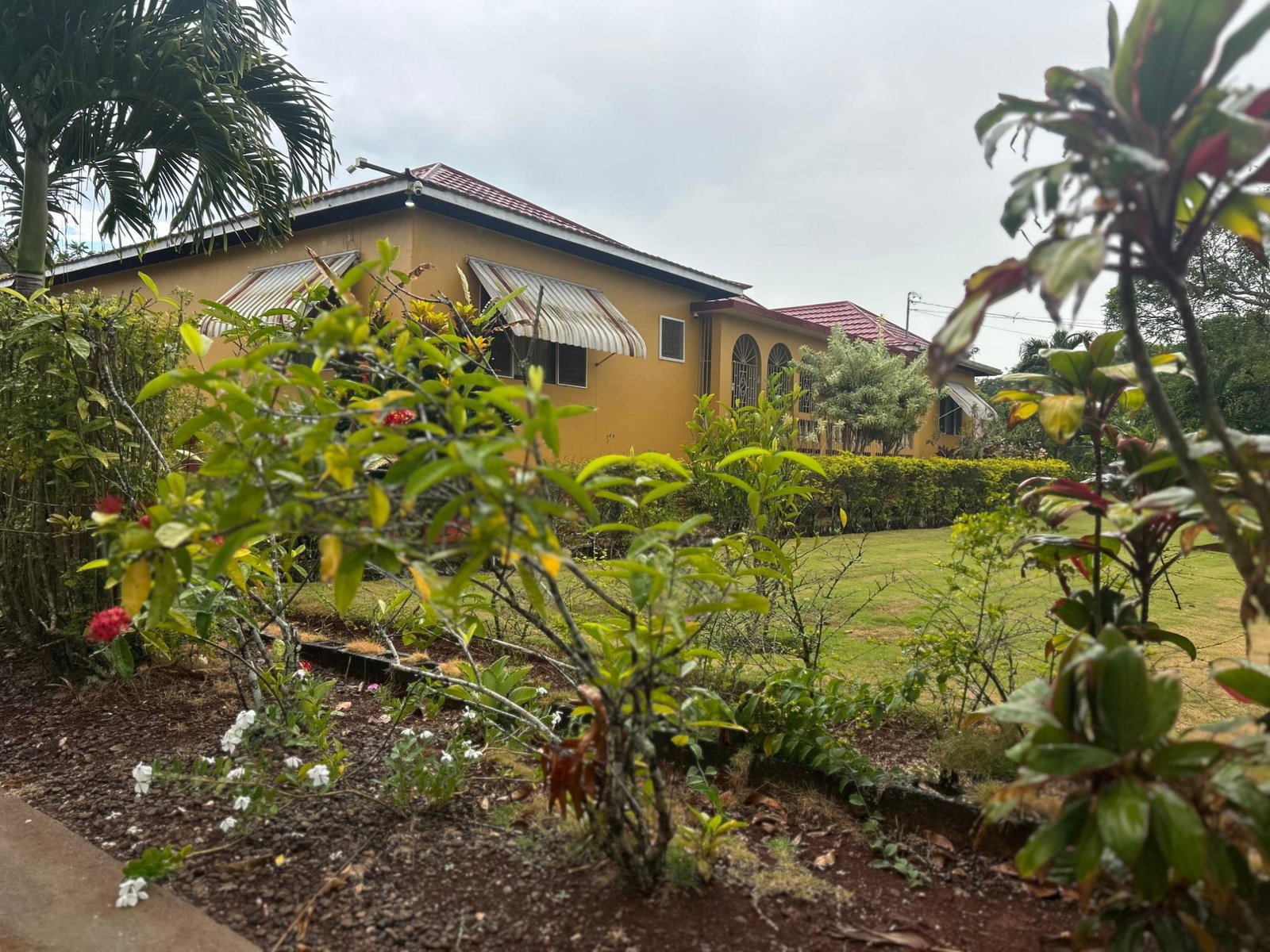 Fourteenth image of 35 Huntley Cres in Huntley, St. Ann, Jamaica - property is For Sale