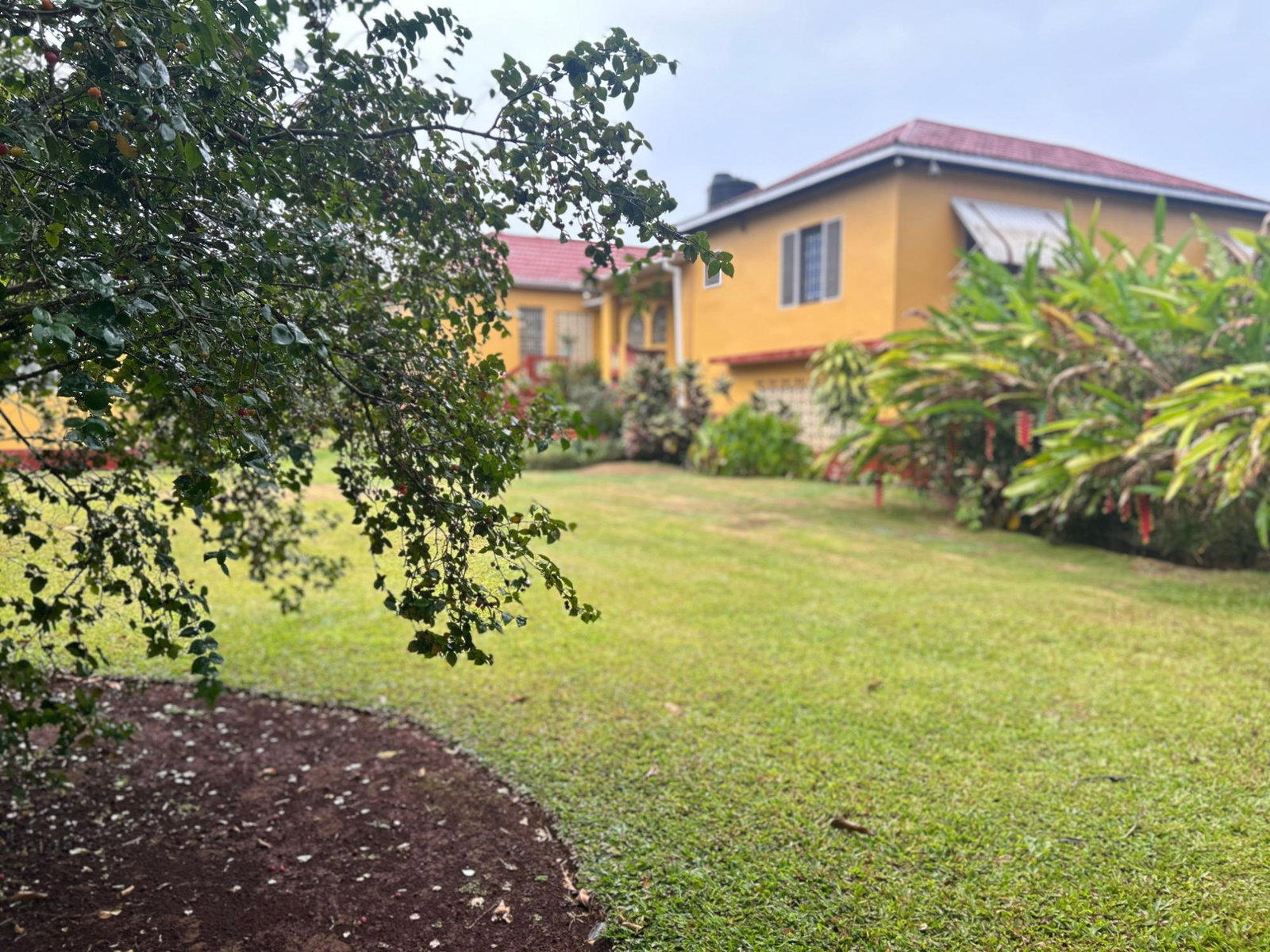 Seventeenth image of 35 Huntley Cres in Huntley, St. Ann, Jamaica - property is For Sale
