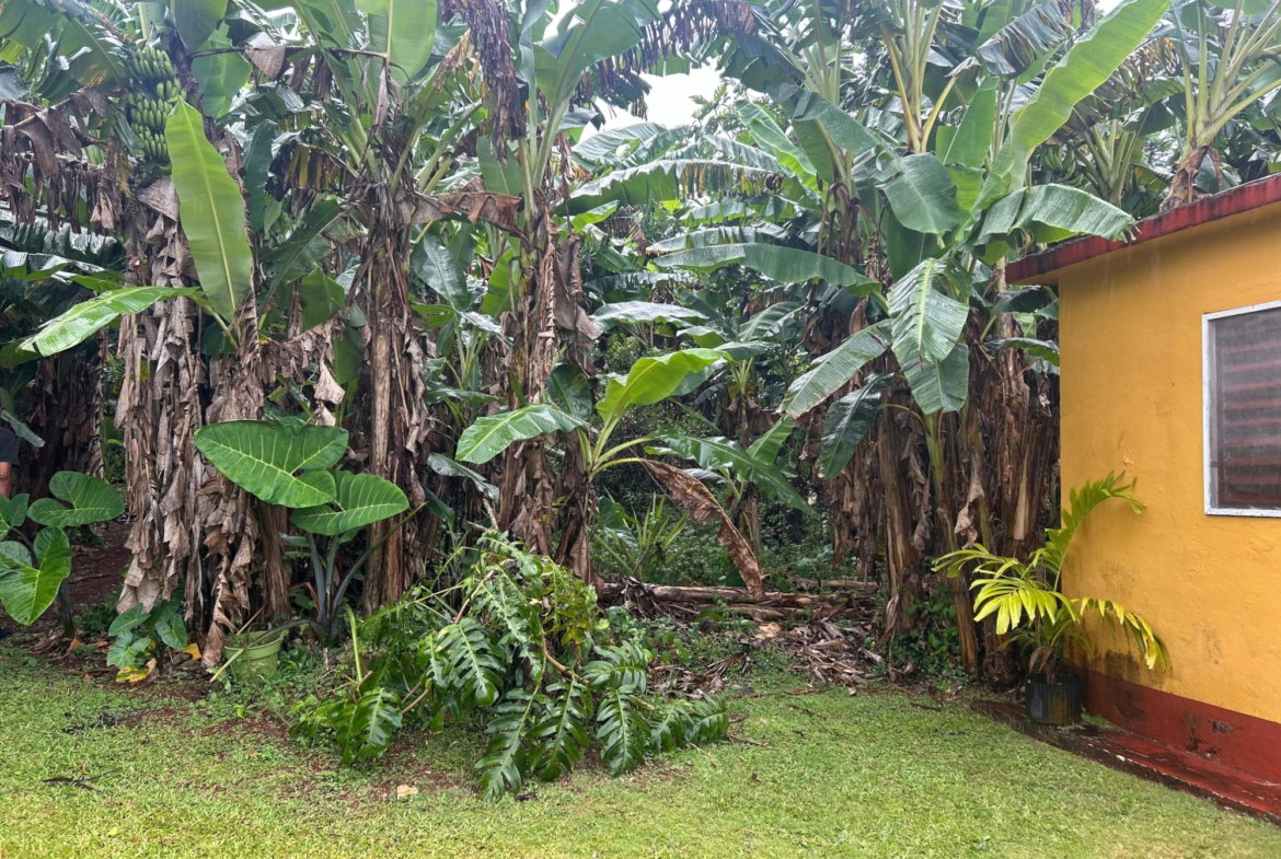 Twenty-Second image of 35 Huntley Cres in Huntley, St. Ann, Jamaica - property is For Sale