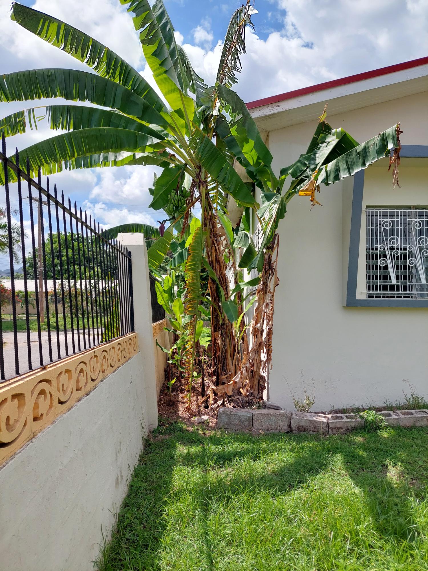 Fifth image of Unit A-10 Calcraft Avenue in Kingston 8, St. Andrew, Jamaica - property is For Rent