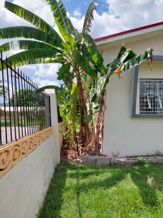 Fifth image of Unit A-10 Calcraft Avenue in Kingston 8, St. Andrew, Jamaica - property is For Rent
