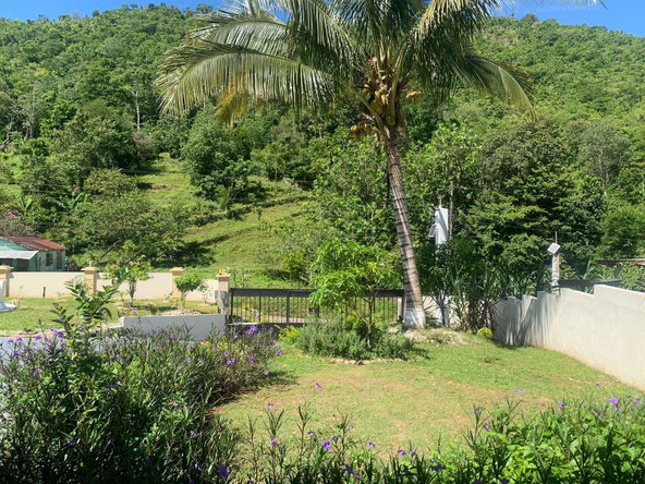 Fifteenth image of Happy Grove, New Market in New Market, St. Elizabeth, Jamaica - property is For Sale