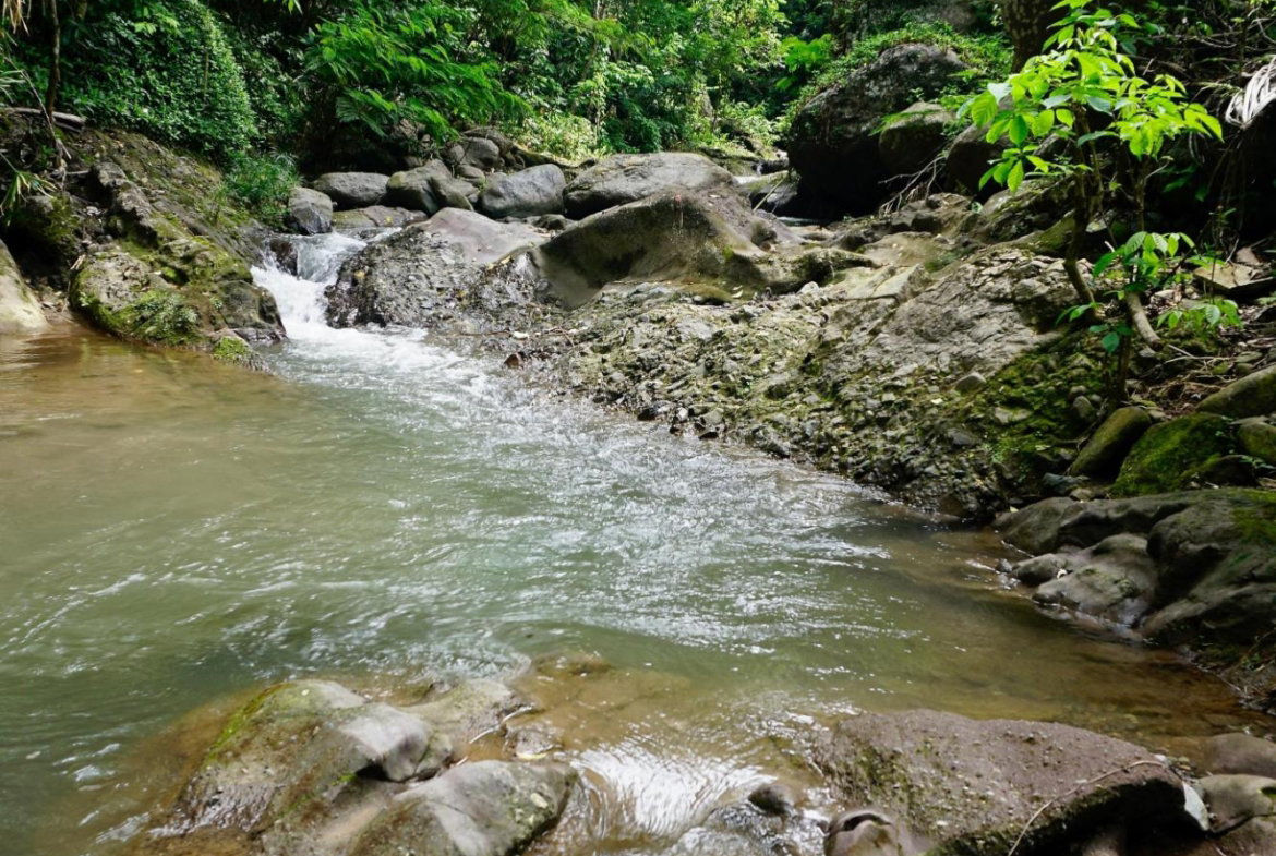 Second image of 1- Maryland in Gordon Town P.O., St. Andrew, Jamaica - property is For Rent