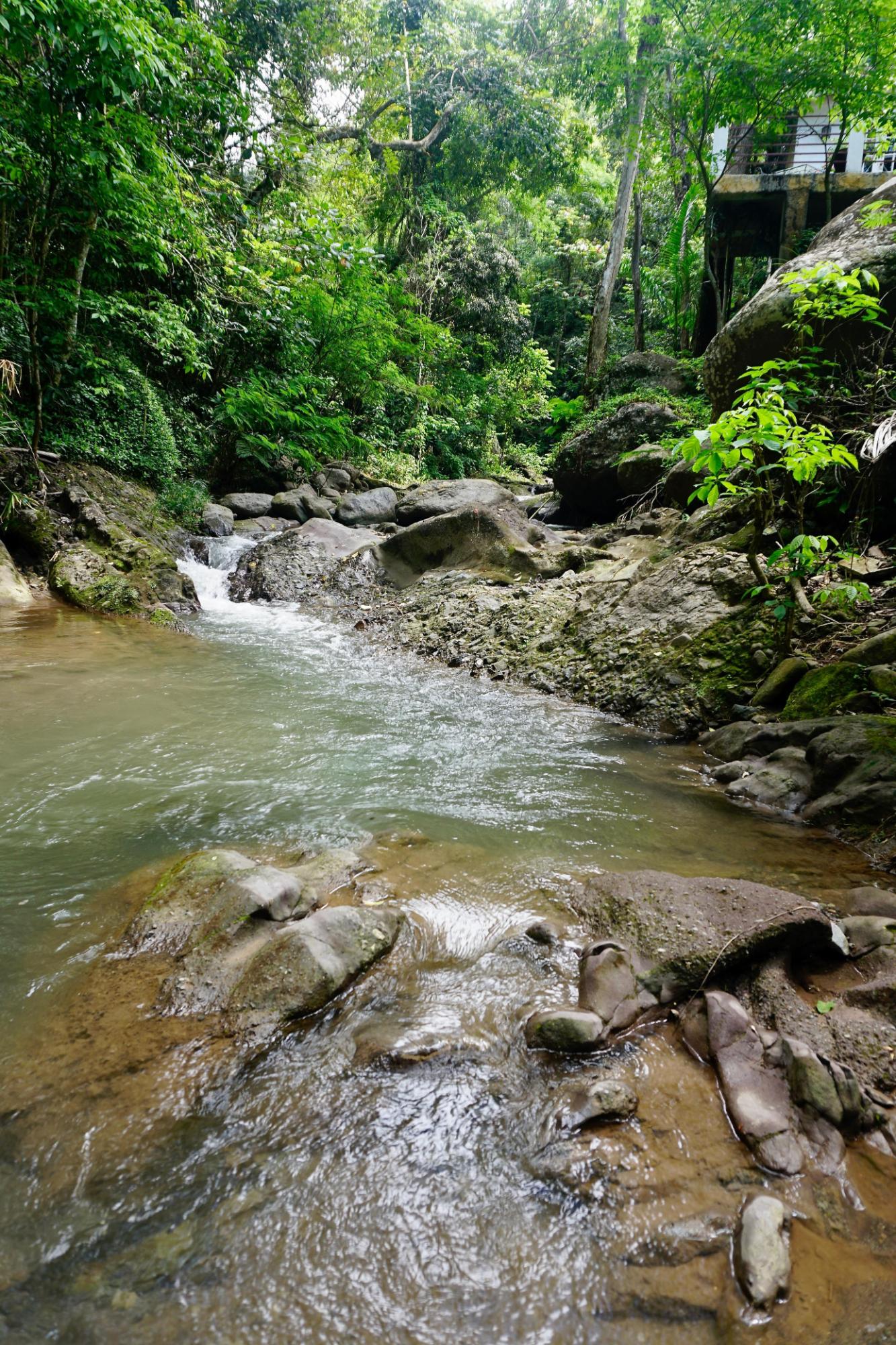 Second image of 1- Maryland in Gordon Town P.O., St. Andrew, Jamaica - property is For Rent