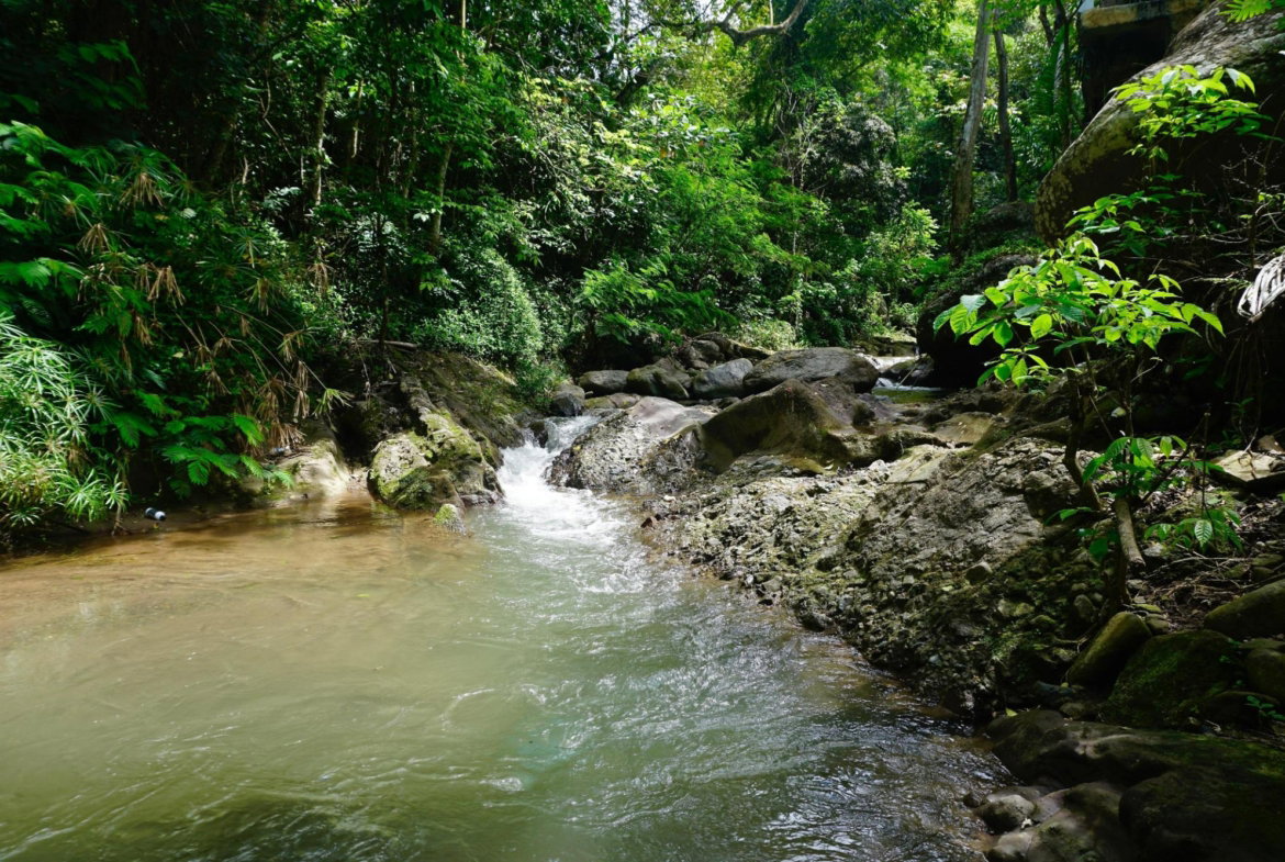 First image of 1- Maryland in Gordon Town P.O., St. Andrew, Jamaica - property is For Rent