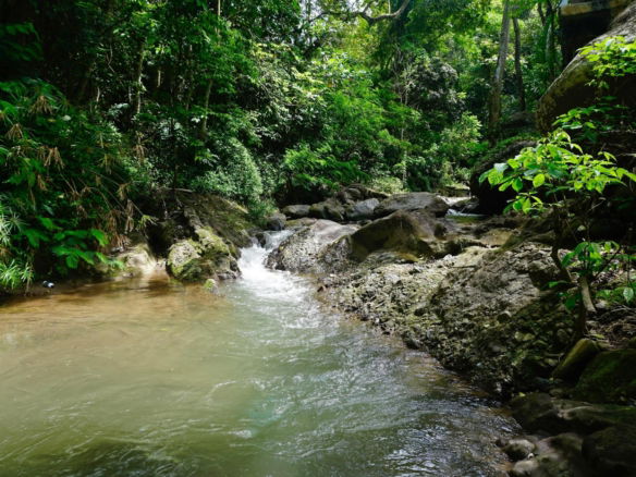 First image of 1- Maryland in Gordon Town P.O., St. Andrew, Jamaica - property is For Rent