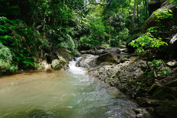 First image of 1- Maryland in Gordon Town P.O., St. Andrew, Jamaica - property is For Rent