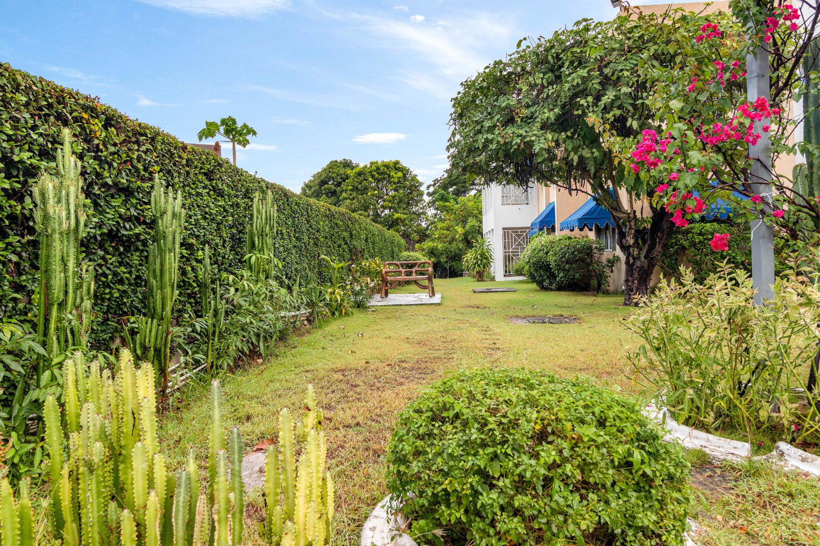 Fifteenth image of 16-55a Lady Musgrave Road in Kingston 10, St. Andrew, Jamaica - property is For Sale