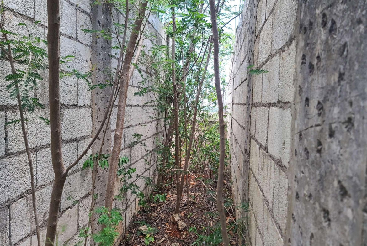 Eighth image of Lot 4 Satinwood Drive in Bellevue, St. Catherine, Jamaica - property is For Sale