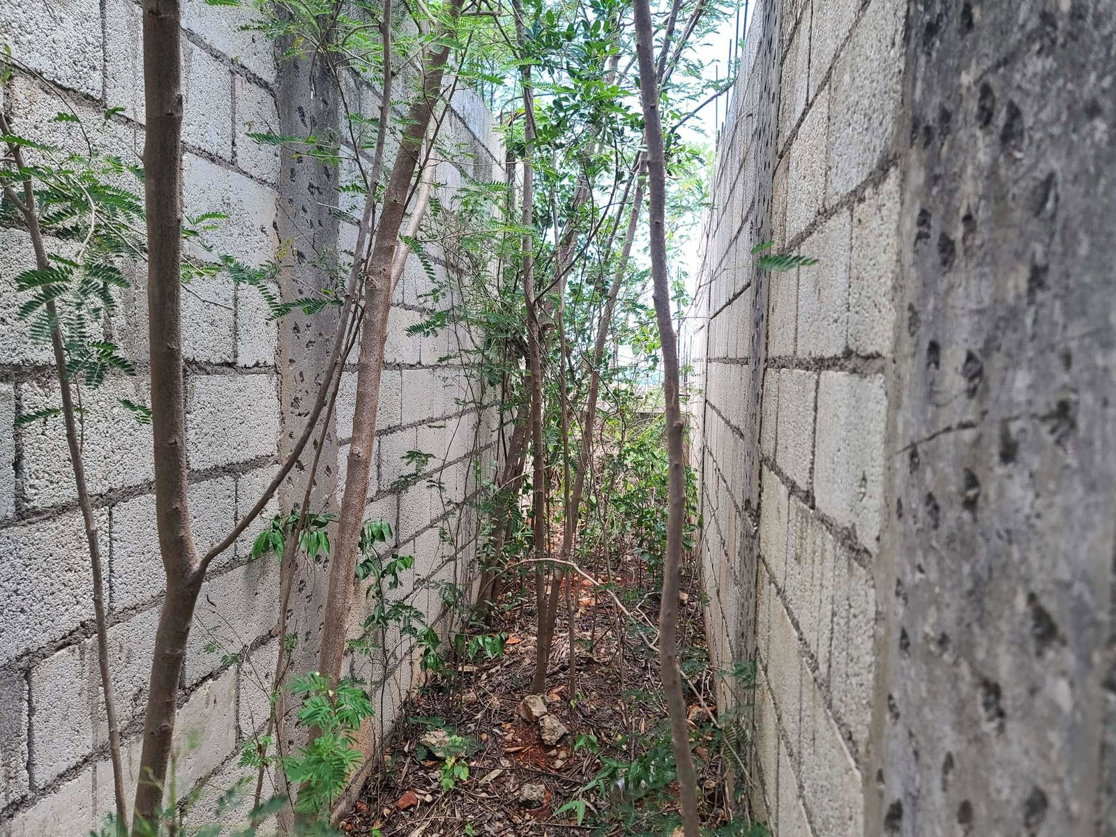 Eighth image of Lot 4 Satinwood Drive in Bellevue, St. Catherine, Jamaica - property is For Sale