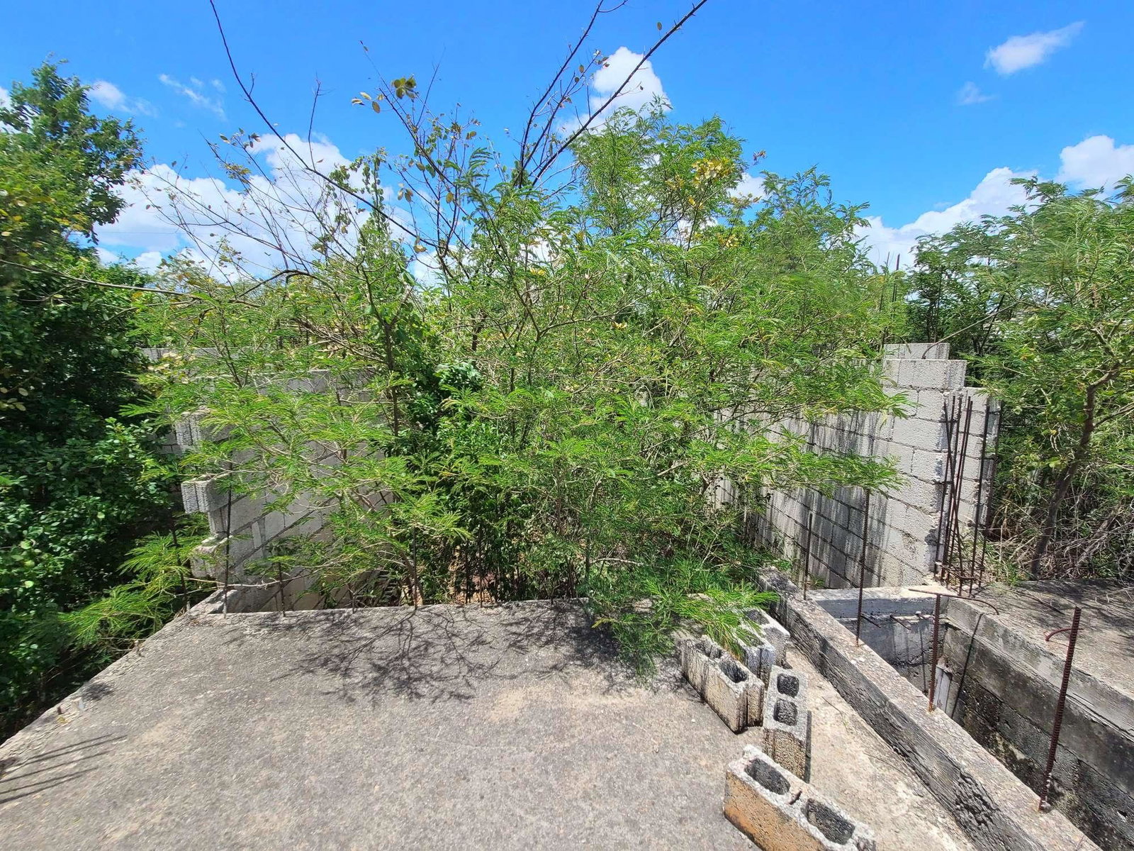 Ninth image of Lot 4 Satinwood Drive in Bellevue, St. Catherine, Jamaica - property is For Sale