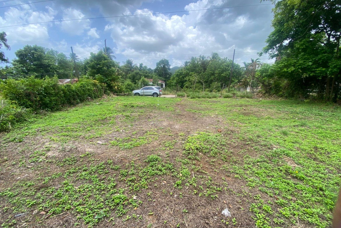 Eleventh image of Old Porus Road Manchester in Porus, Manchester, Jamaica - property is For Sale