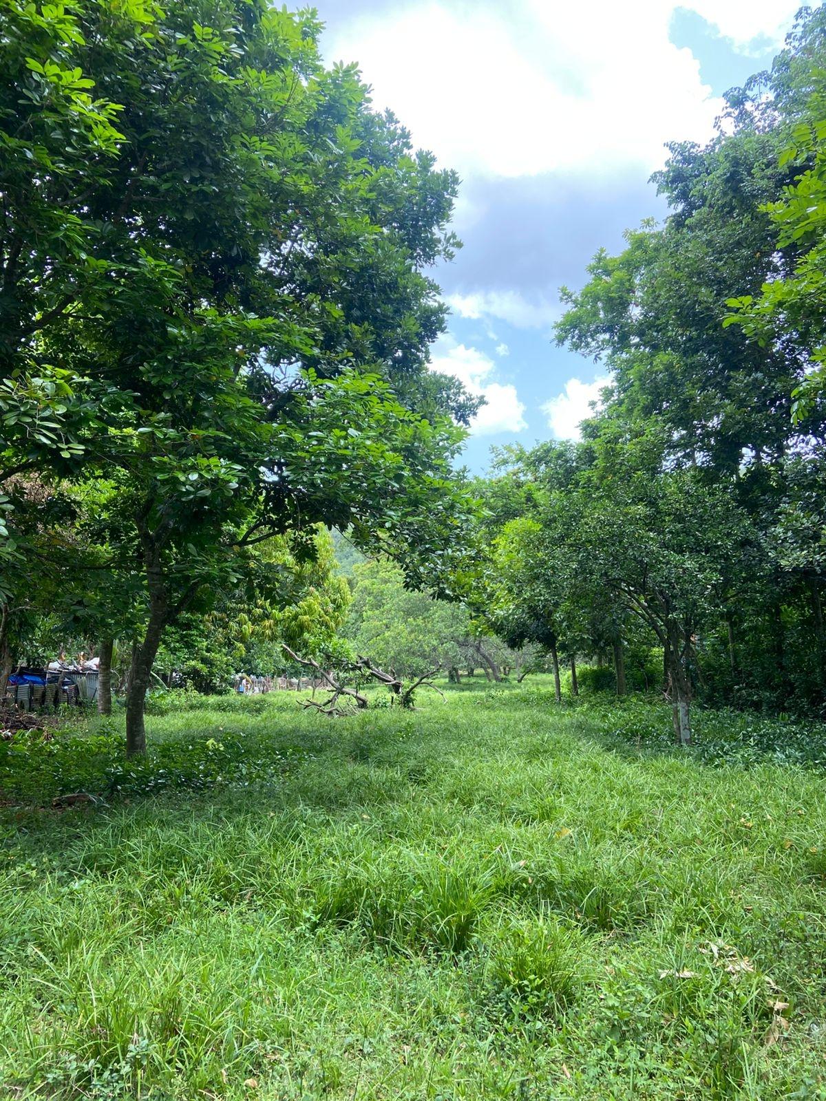 Unfinished-Home-for-Sale-in-Porus-Manchester-Jamaica-90-Complete-House Twelfth image of Old Porus Road Manchester in Porus, Manchester, Jamaica - property is For Sale