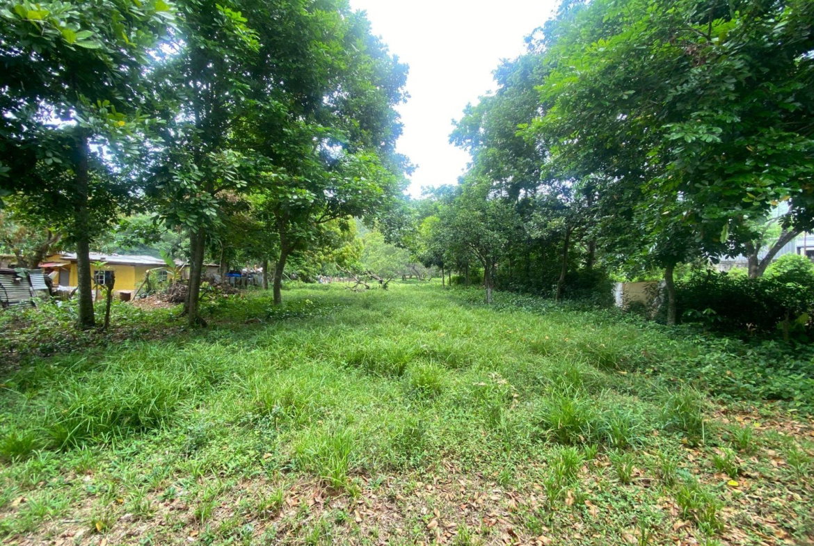 Thirteenth image of Old Porus Road Manchester in Porus, Manchester, Jamaica - property is For Sale