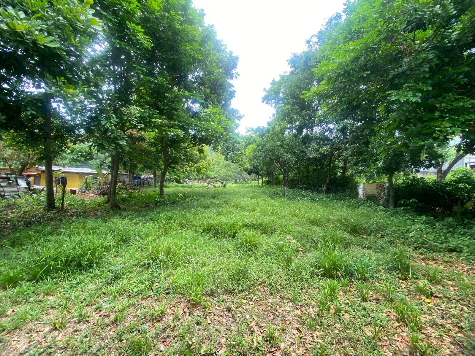 Unfinished-Home-for-Sale-in-Porus-Manchester-Jamaica-90-Complete-House Thirteenth image of Old Porus Road Manchester in Porus, Manchester, Jamaica - property is For Sale