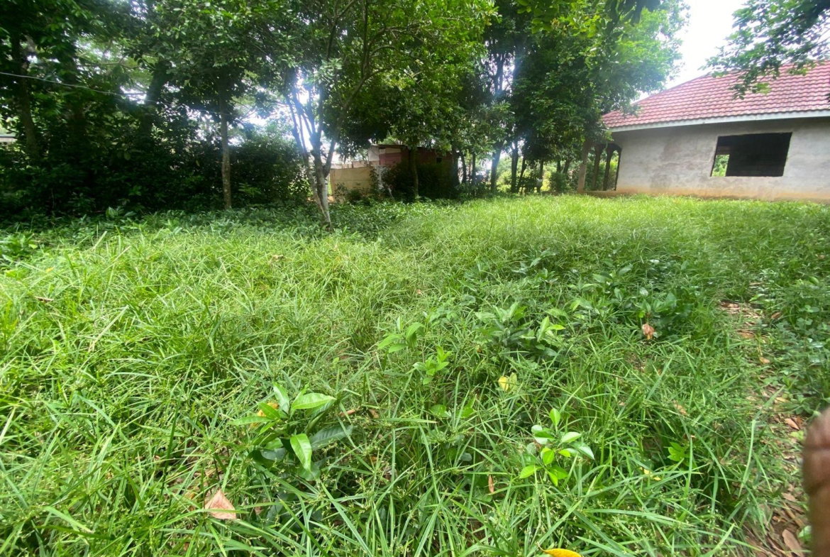 Fourteenth image of Old Porus Road Manchester in Porus, Manchester, Jamaica - property is For Sale